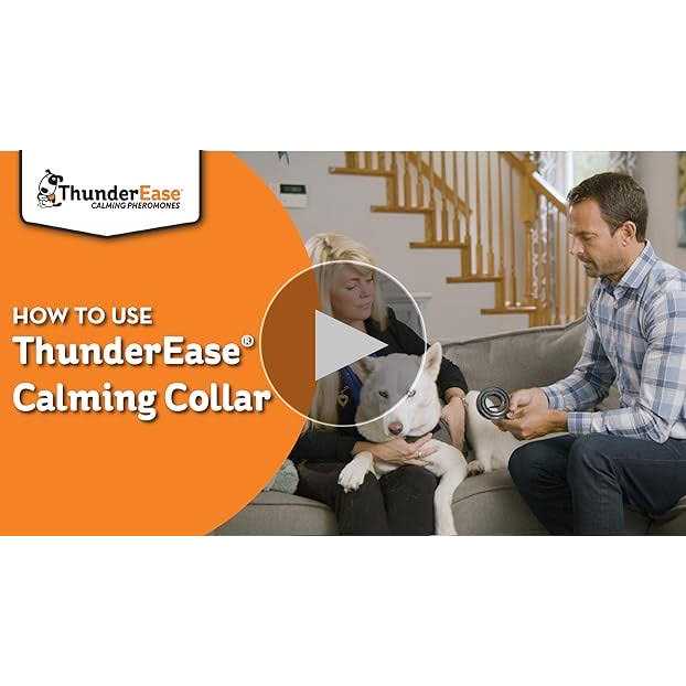 Calming Dog Collar I9682