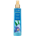Morning Glory Fragrance Body Mist 8 oz (Pack of 8) W921