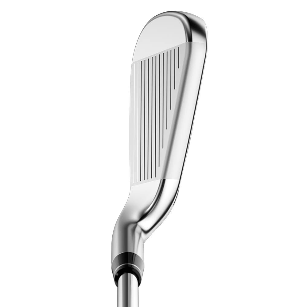 6-PW, SW Steel Regular Iron Set L66166
