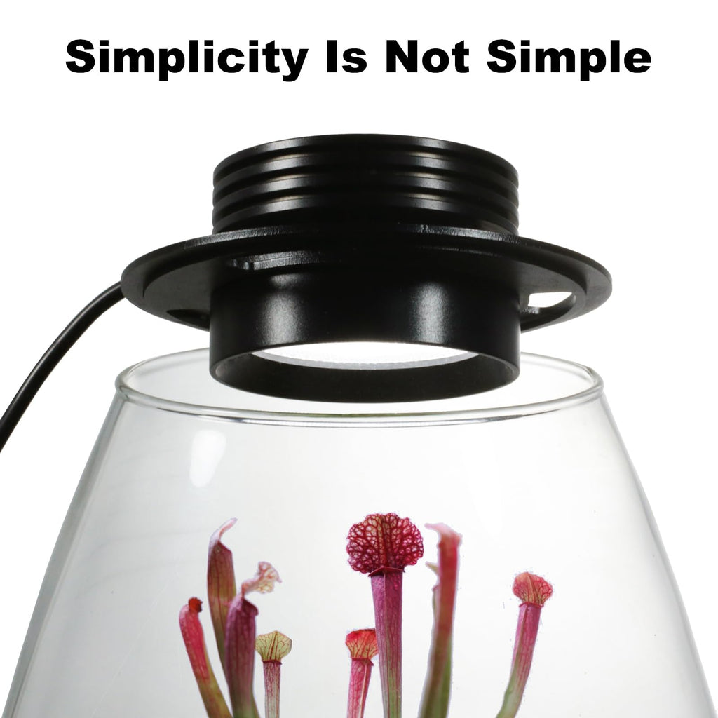 Glass Plant Terrarium with Grow Light I7039