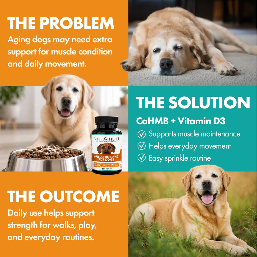 430 mg Muscle Support for Dogs, 30 Ct., 2-Pack X9011