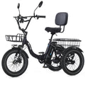 Fat Tire Folding Electric Tricycle W24383