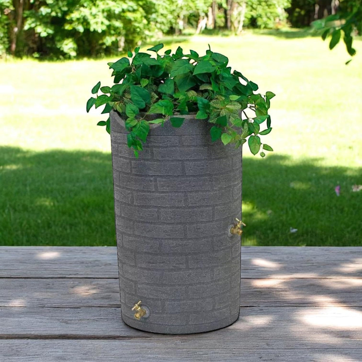 50 Gallon Resin Rain Barrel with Dual Brass Spigots F245