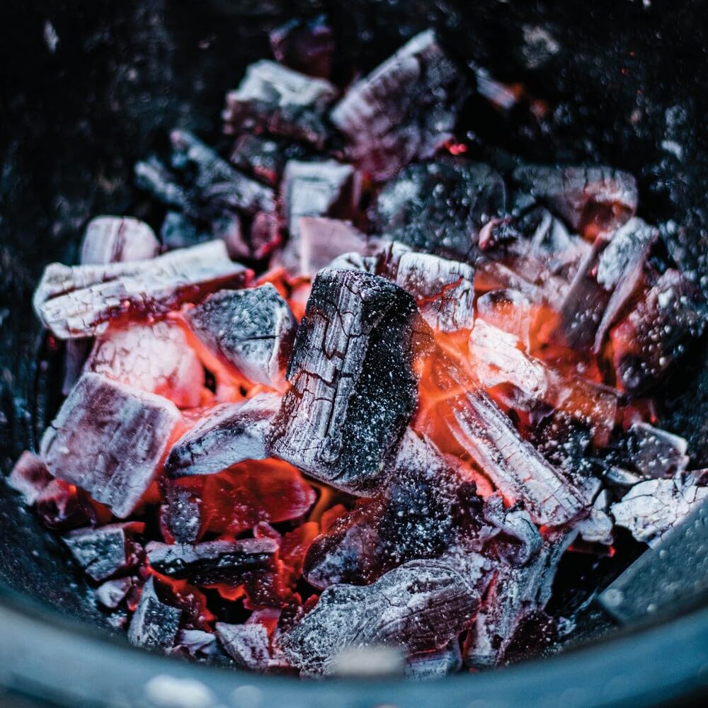 Hardwood Lump Charcoal, 8 lb G477815