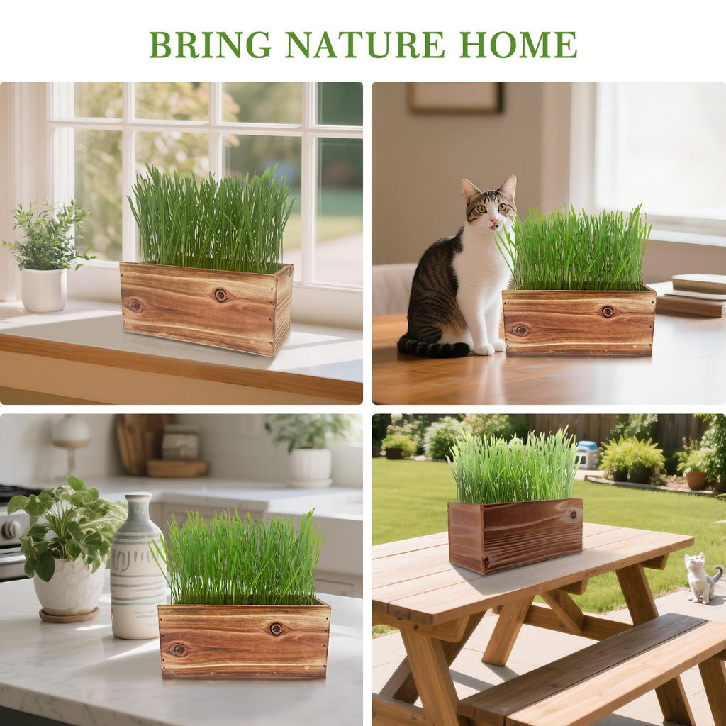 Non-GMO Wheatgrass Cat Grass Kit with Wood Planter Soil & Tools 17-Piece Set N57816