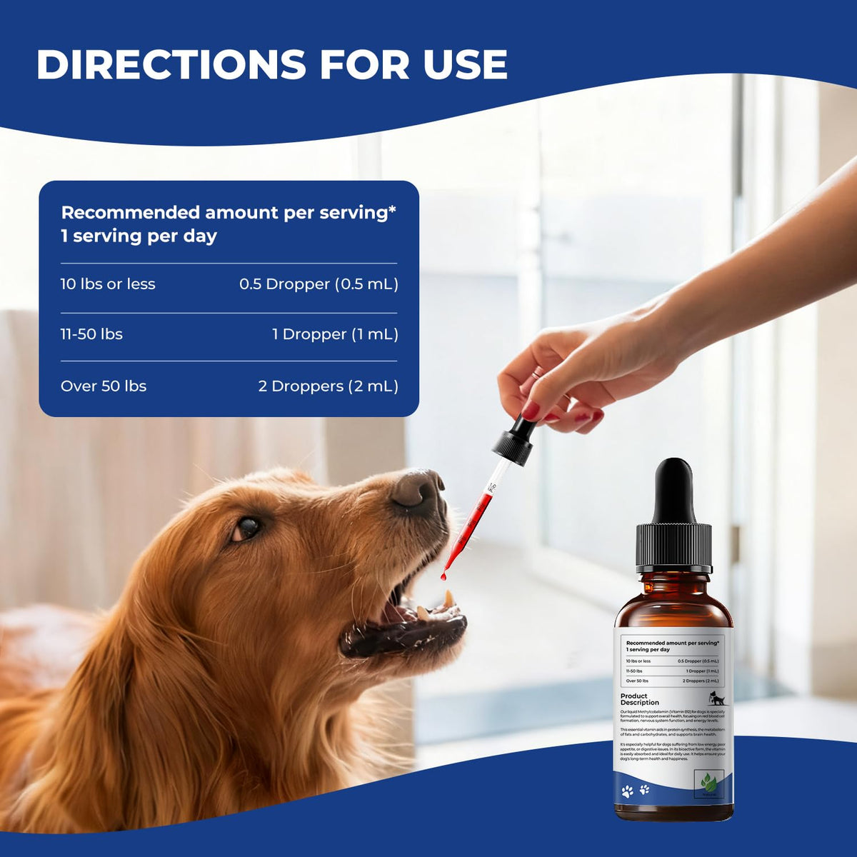Liquid Vitamin B12 & Methylcobalamin Drops E978133