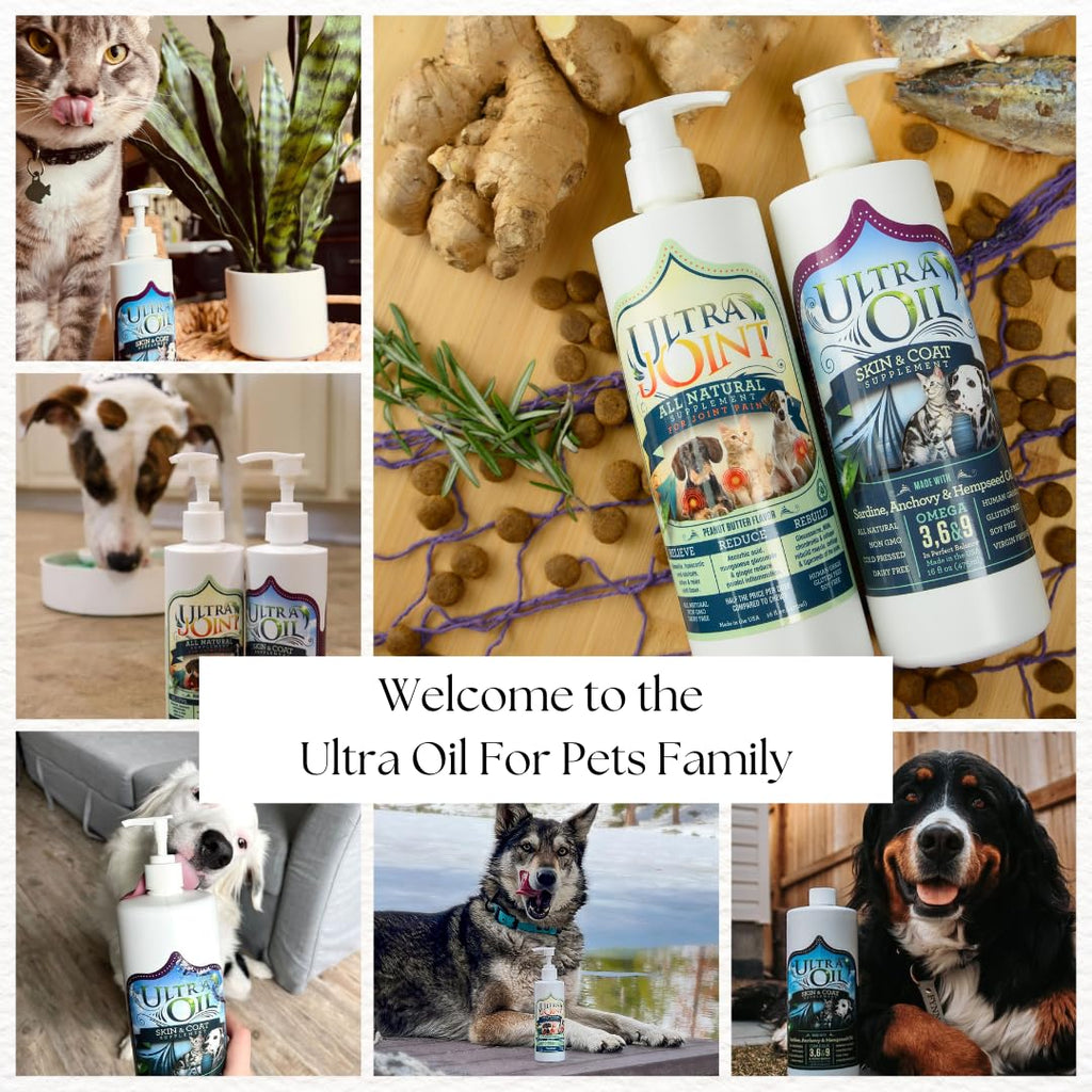 Liquid Joint Support Supplement for Dogs 32 oz S94464