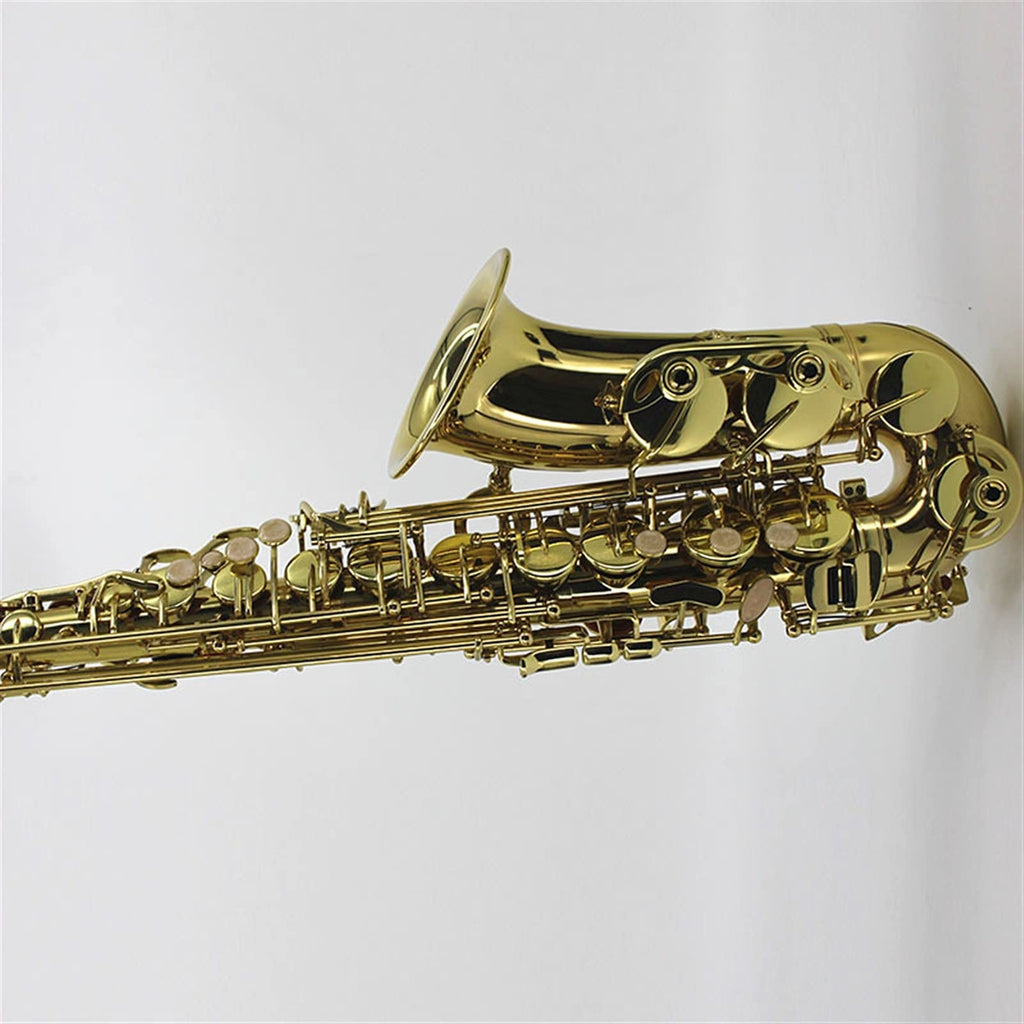 Lacquered Brass E-Flat Alto Saxophone X381108