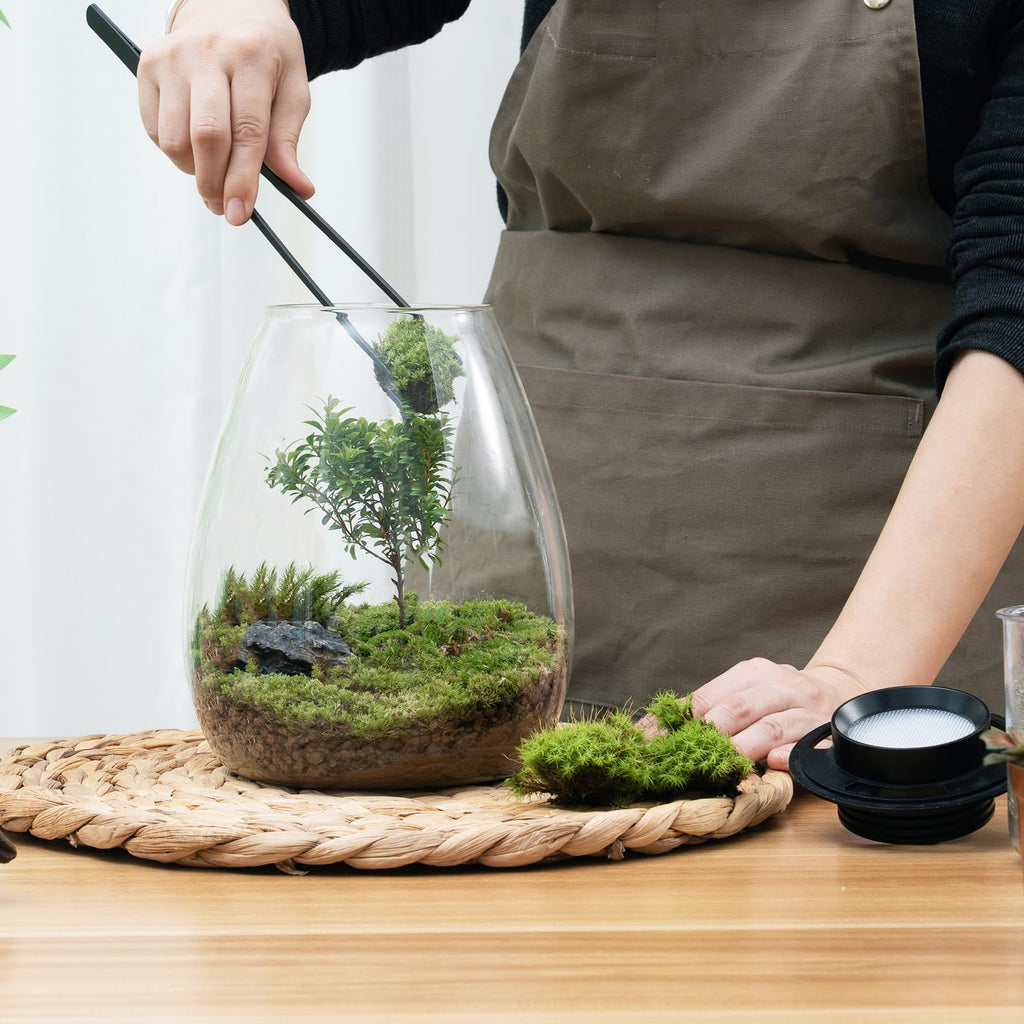 Glass Plant Terrarium with Grow Light I7039
