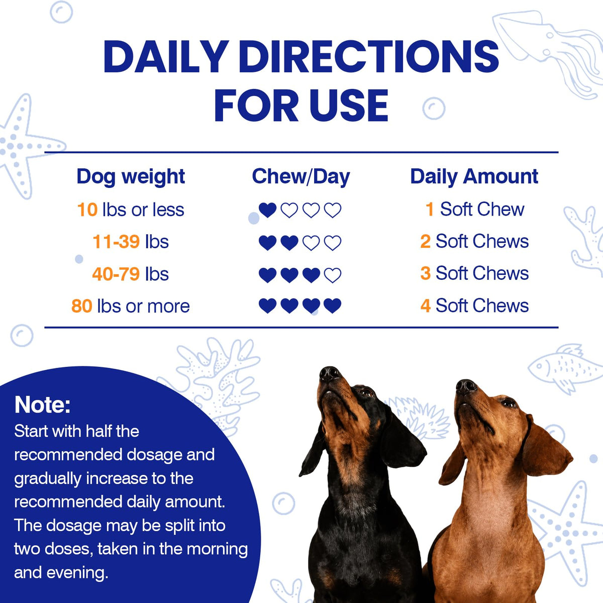 Omega 3 Skin and Coat Dog Supplement 200 Chews Fish Oil M6738