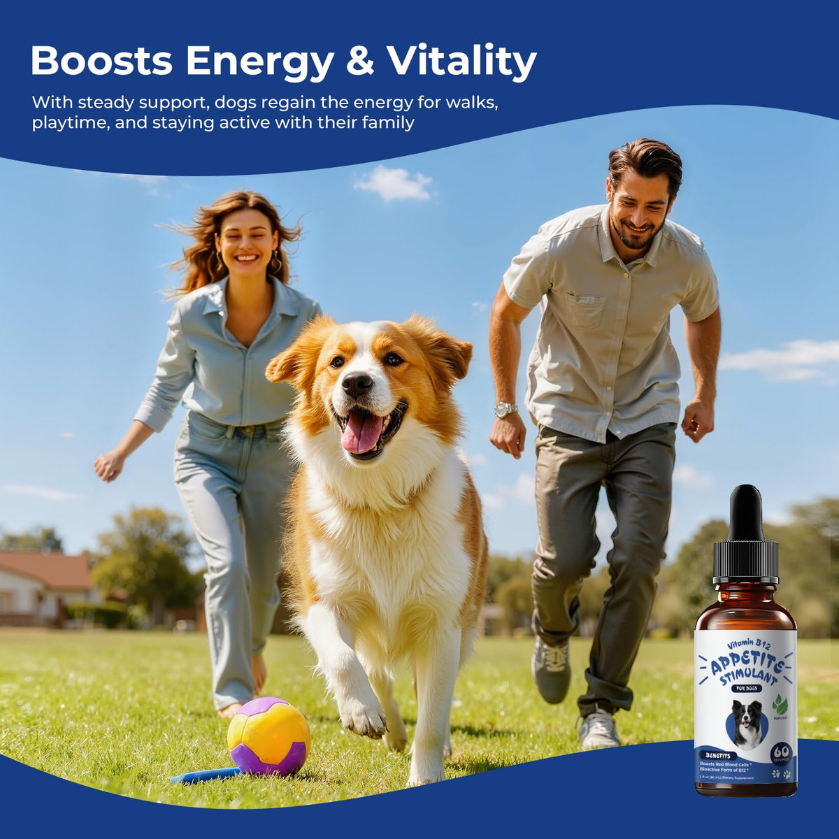 Liquid Vitamin B12 & Methylcobalamin Drops E978133