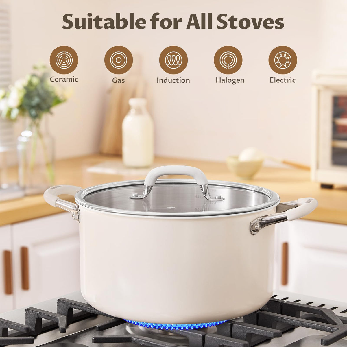 10QT 3-Ply Stainless Steel Stock Pot with Lid V617