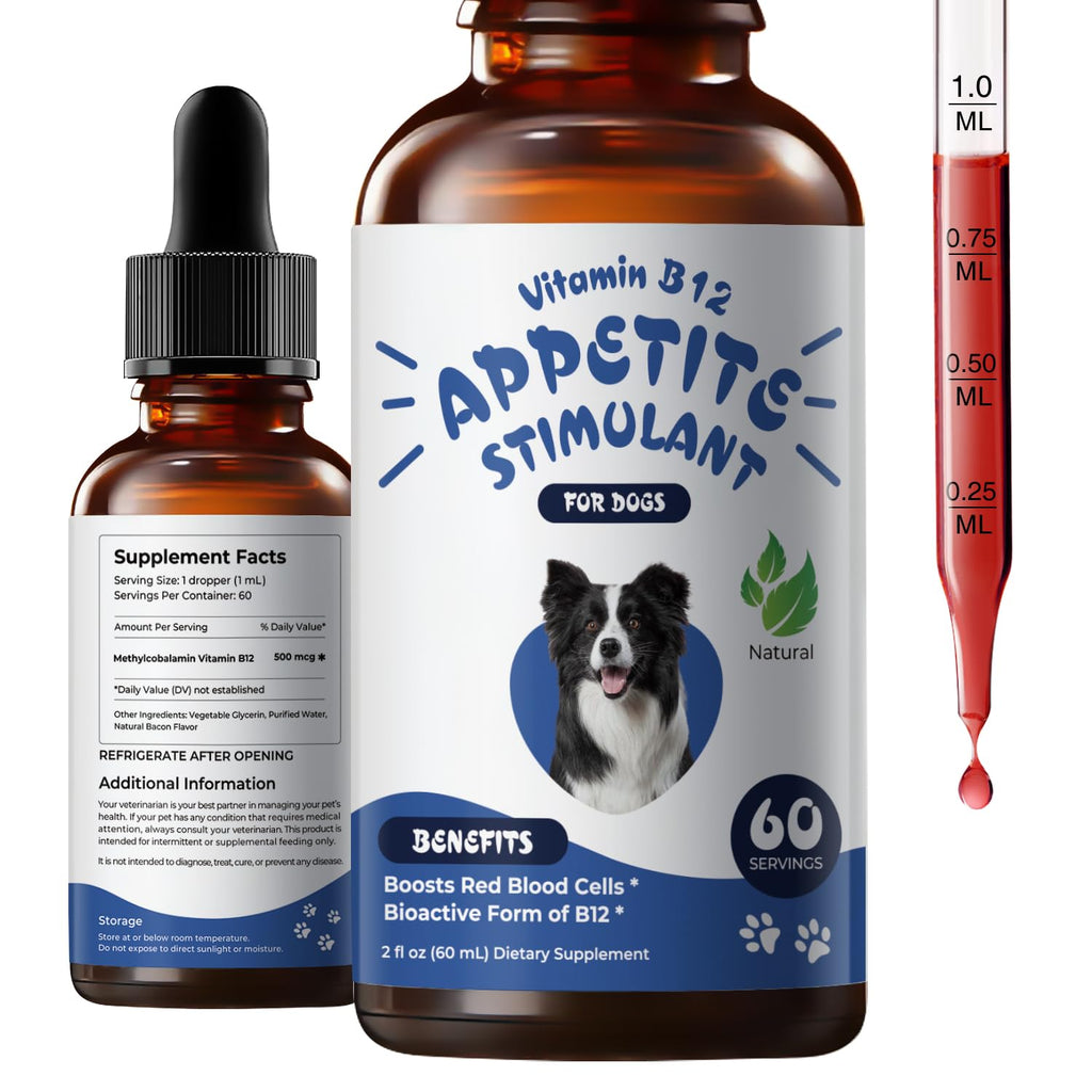 Liquid Vitamin B12 & Methylcobalamin Drops E978133