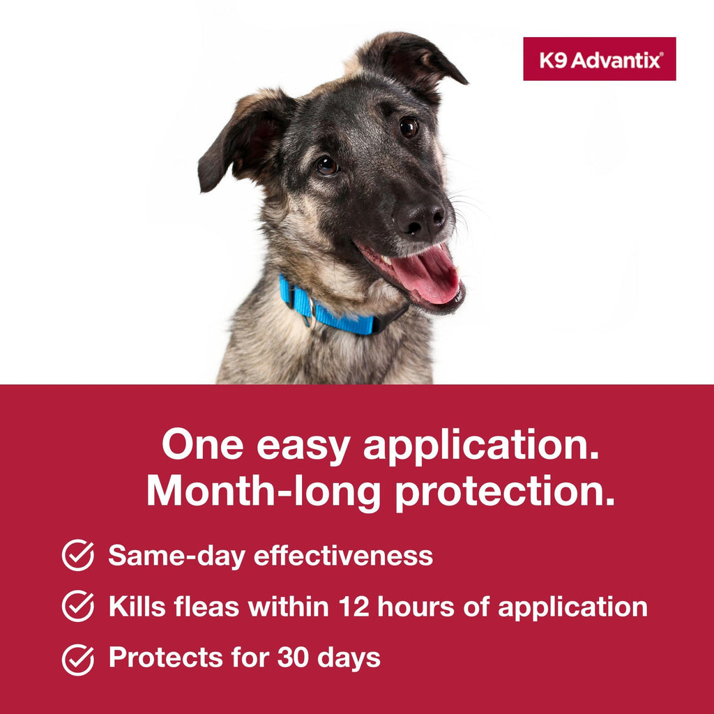 Flea Tick Mosquito Prevention for Dogs 21-55 lbs O568