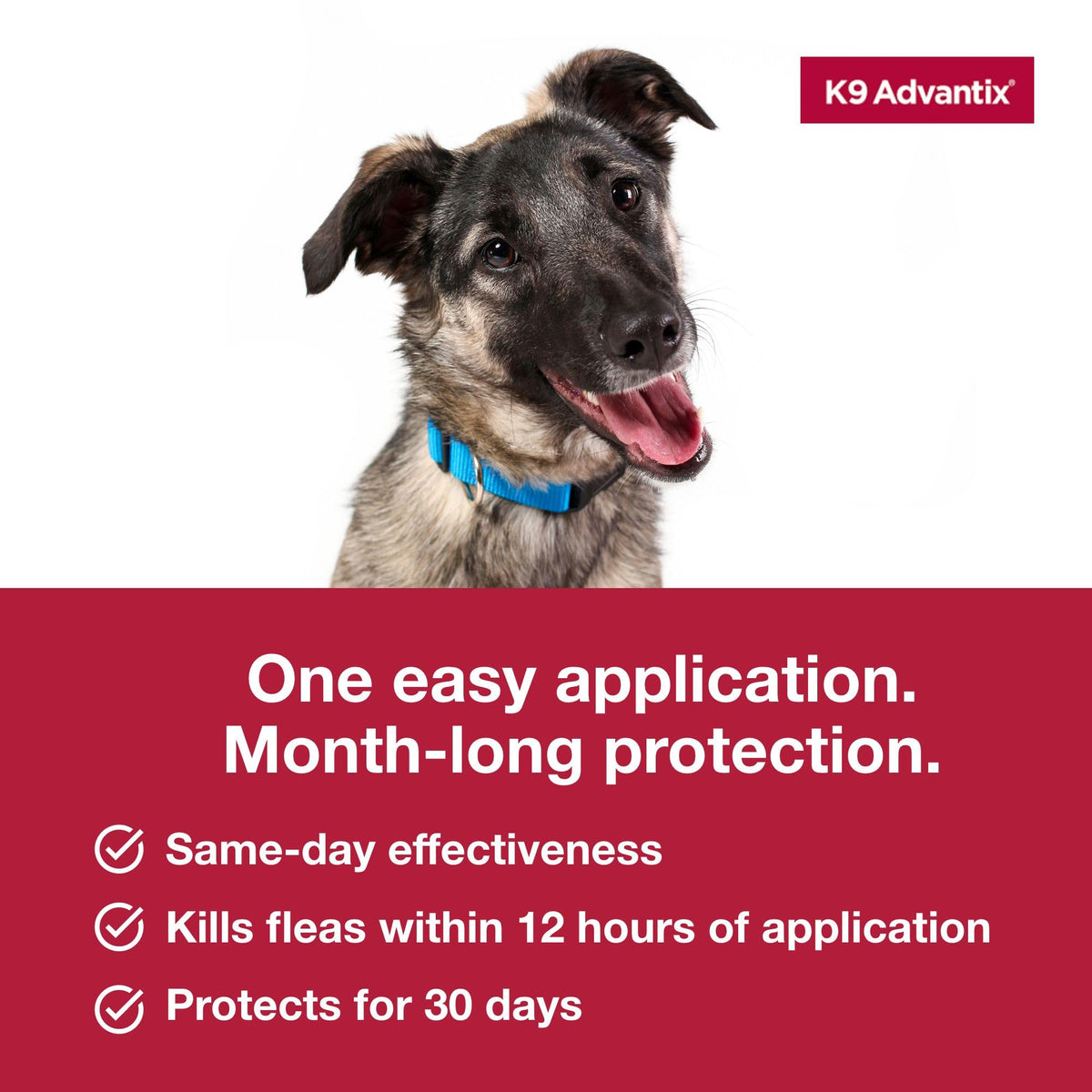 Flea Tick Mosquito Prevention for Dogs 21-55 lbs O568