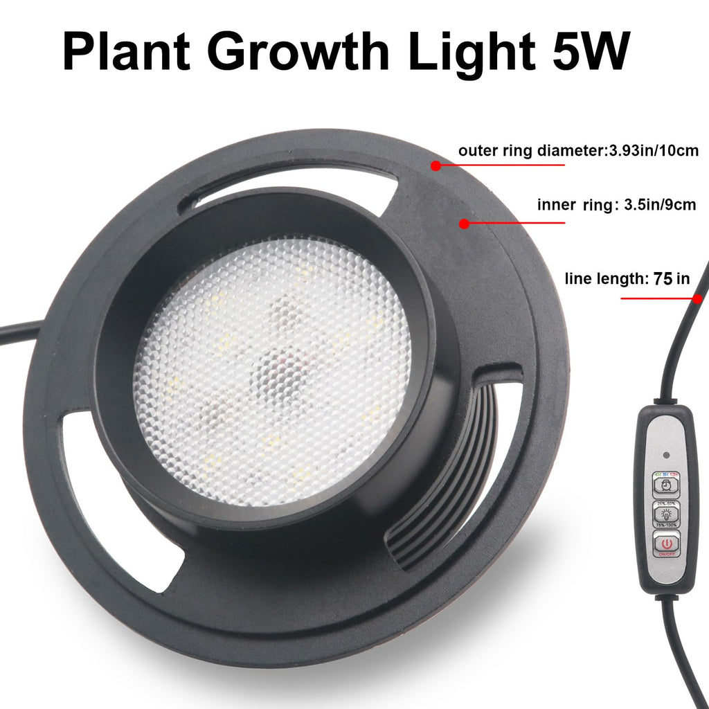 Glass Plant Terrarium with Grow Light I7039