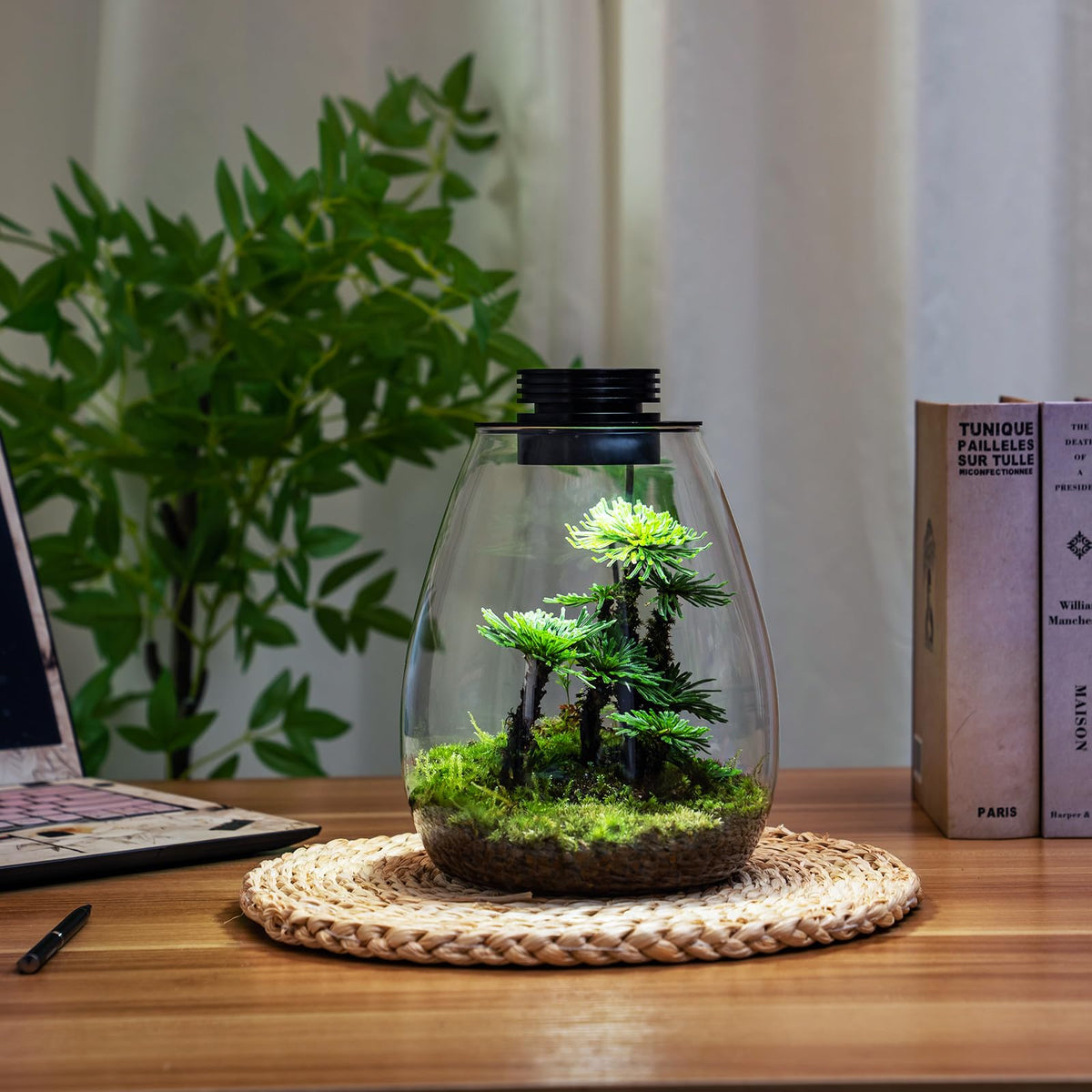 Glass Plant Terrarium with Grow Light I7039