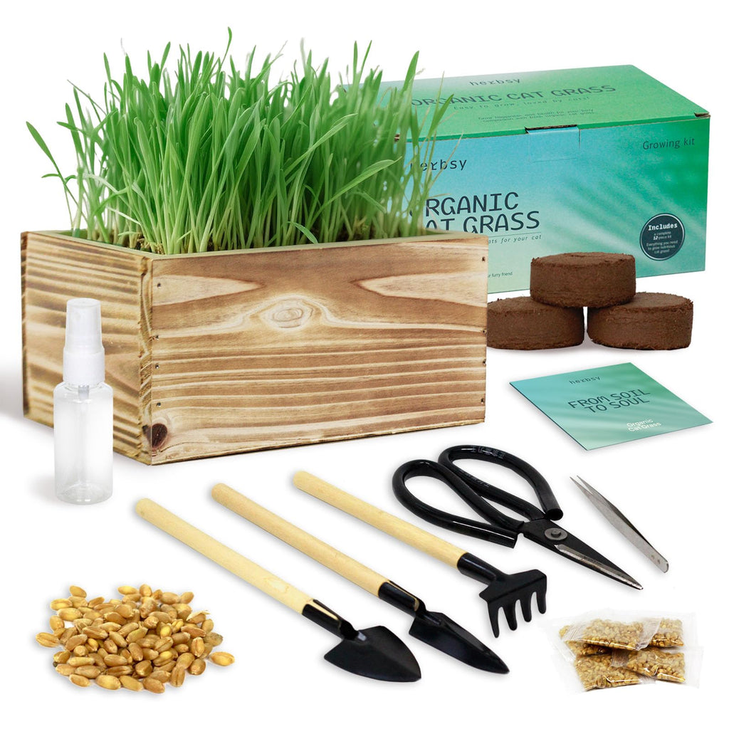 Non-GMO Wheatgrass Cat Grass Kit with Wood Planter Soil & Tools 17-Piece Set N57816