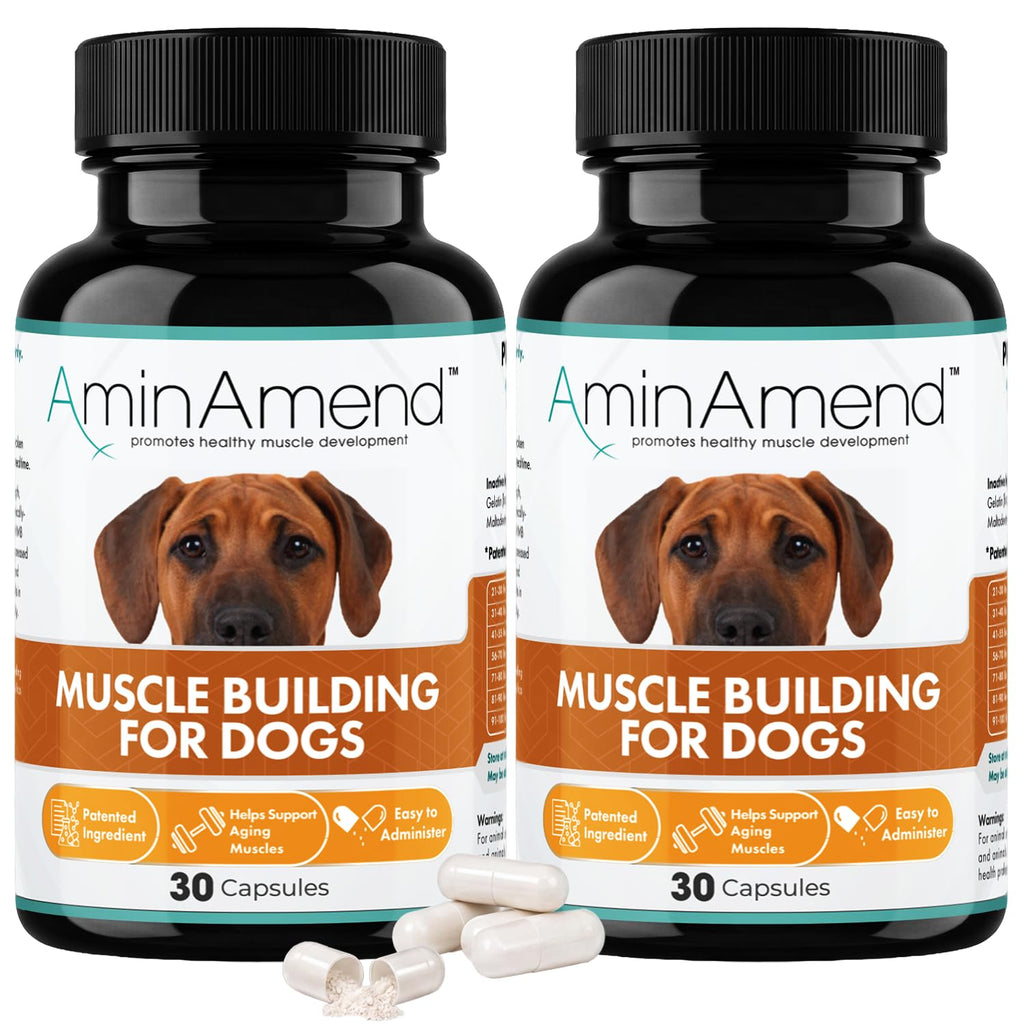 430 mg Muscle Support for Dogs, 30 Ct., 2-Pack X9011