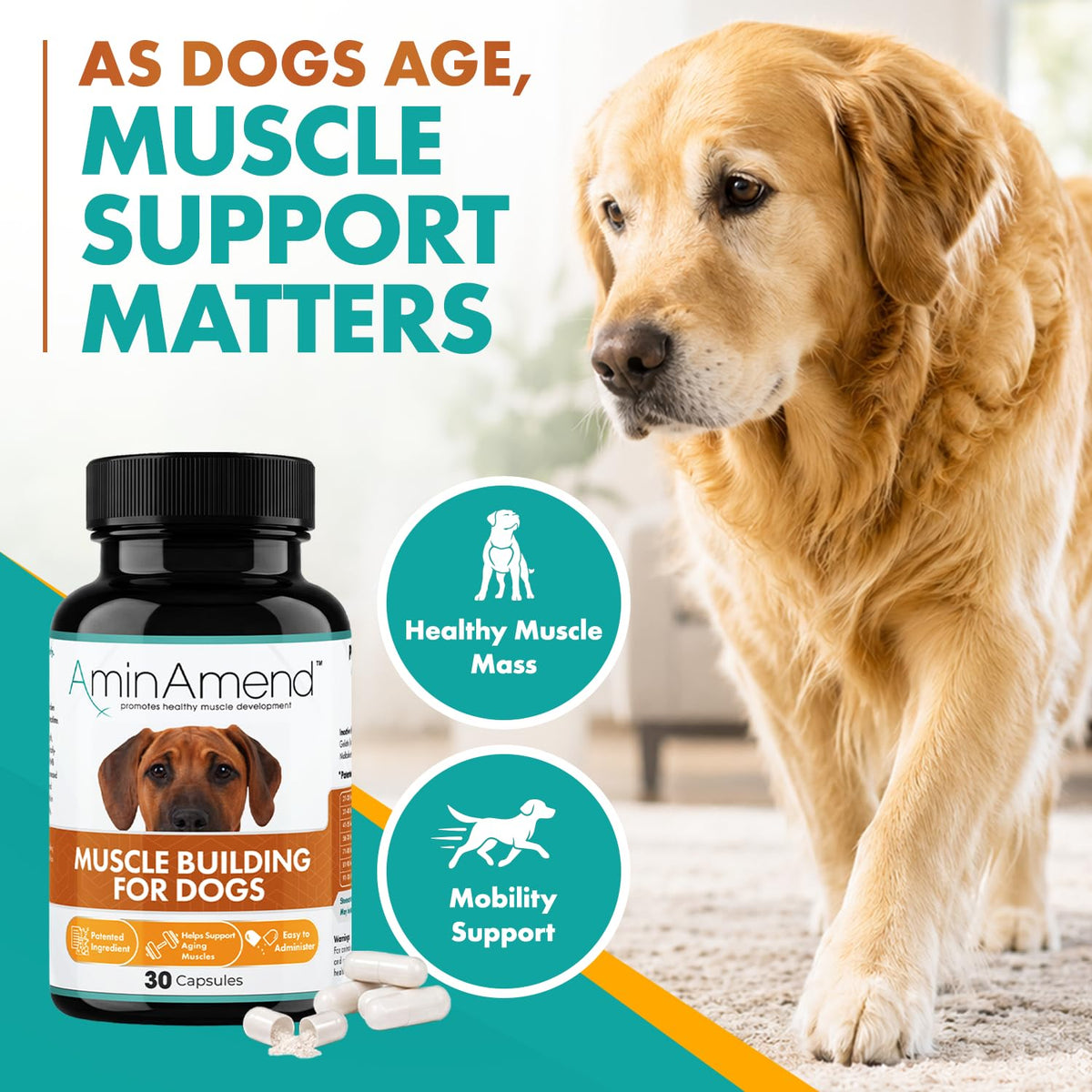 430 mg Muscle Support for Dogs, 30 Ct., 2-Pack X9011