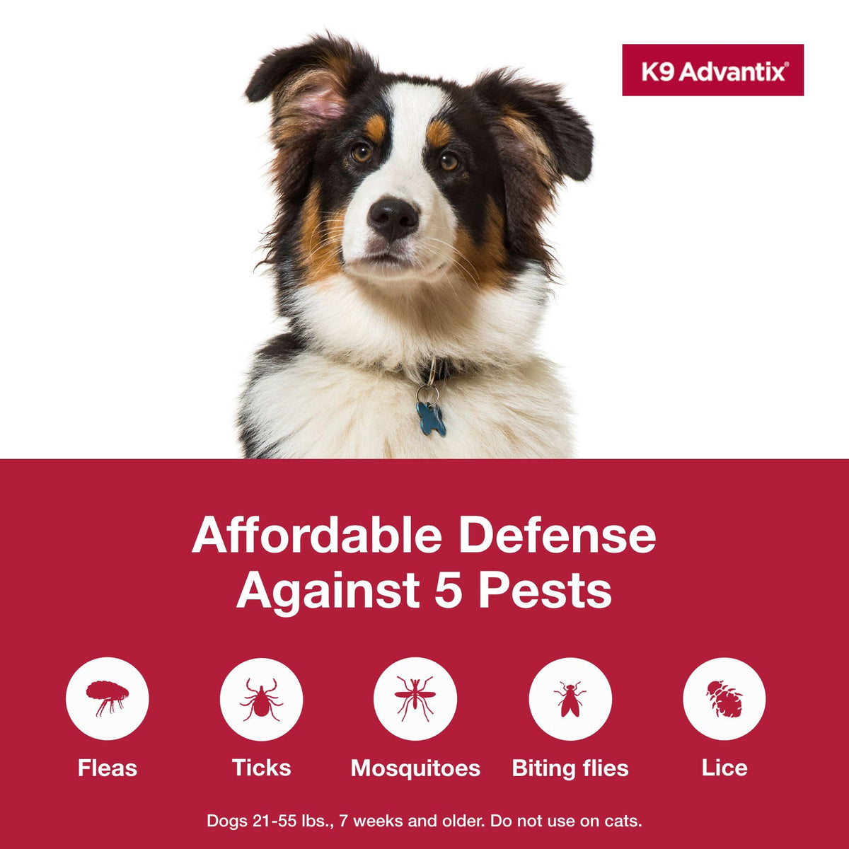 Flea Tick Mosquito Prevention for Dogs 21-55 lbs O568