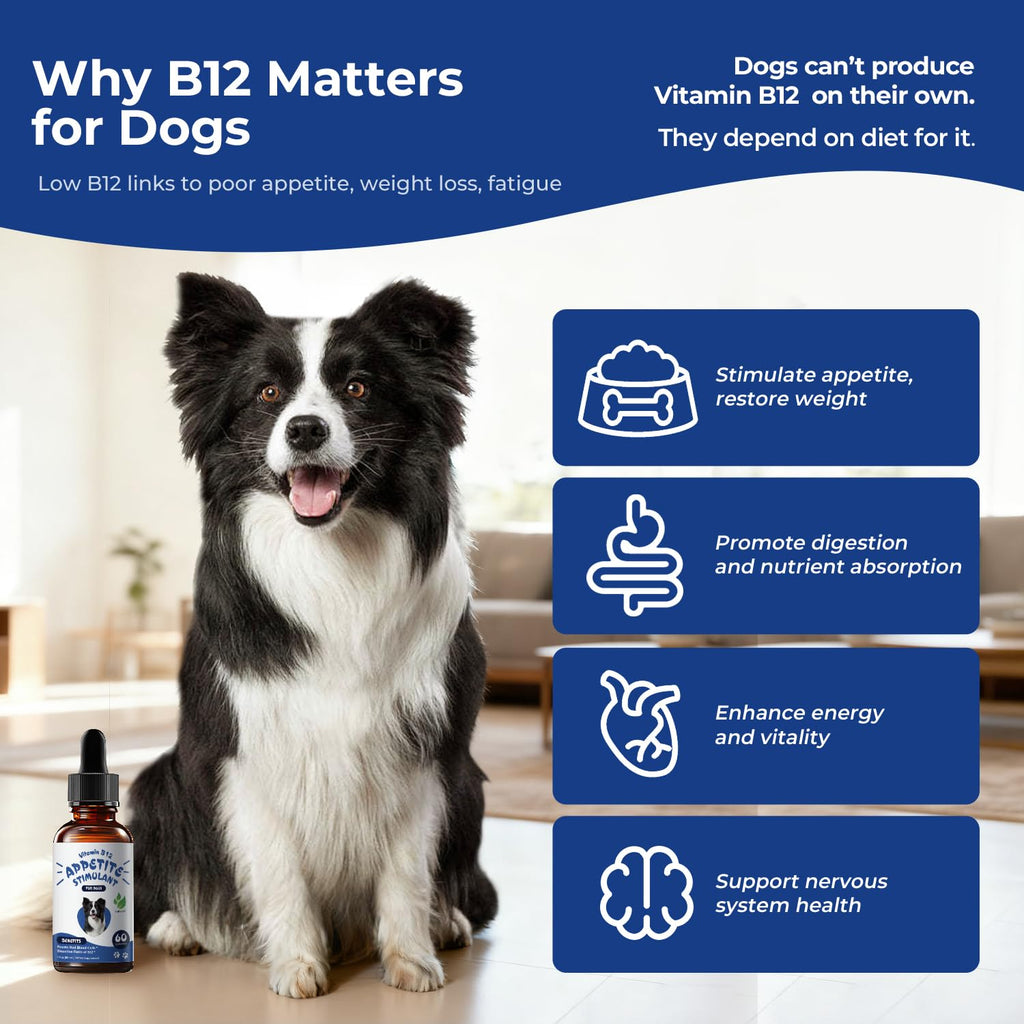 Liquid Vitamin B12 & Methylcobalamin Drops E978133