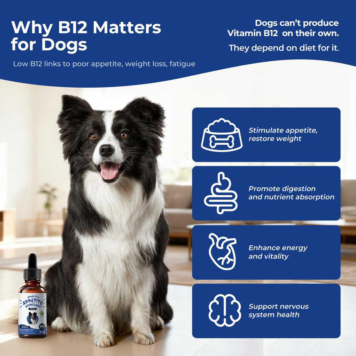 Liquid Vitamin B12 & Methylcobalamin Drops E978133