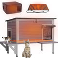 Heated Outdoor Cat House with Heating Pad L240941