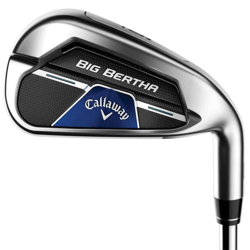6-PW, SW Steel Regular Iron Set L66166