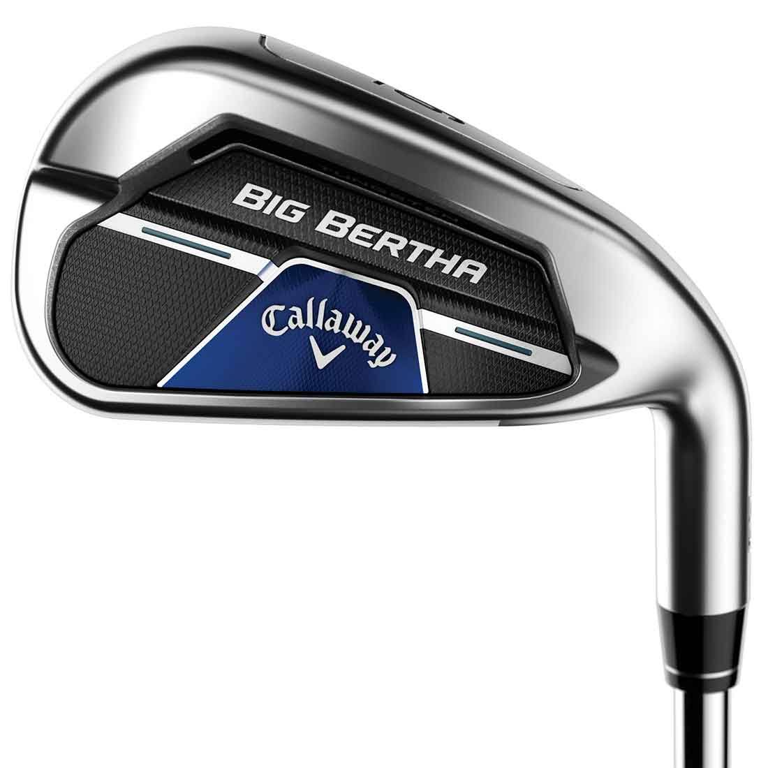 6-PW, SW Steel Regular Iron Set L66166