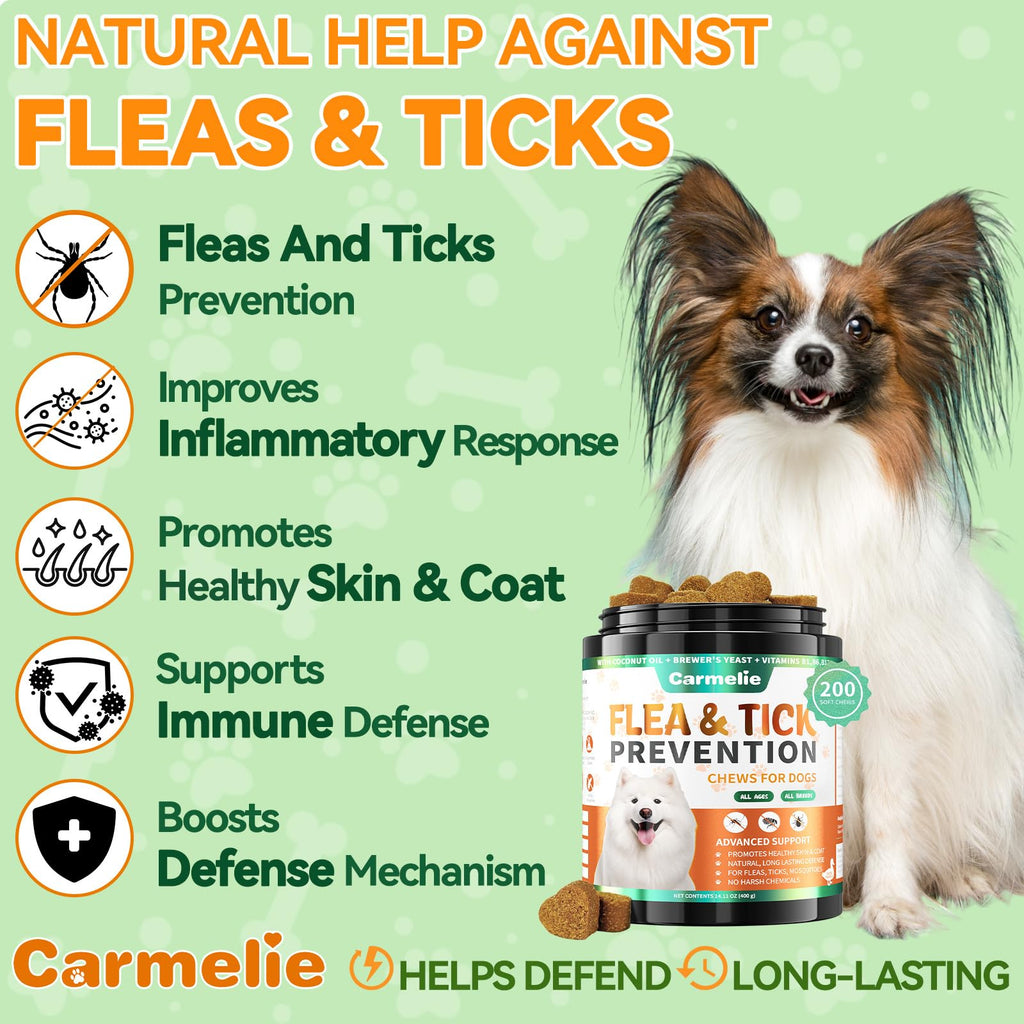 Flea and Tick Prevention for Dogs Chewables 200 Ct C129