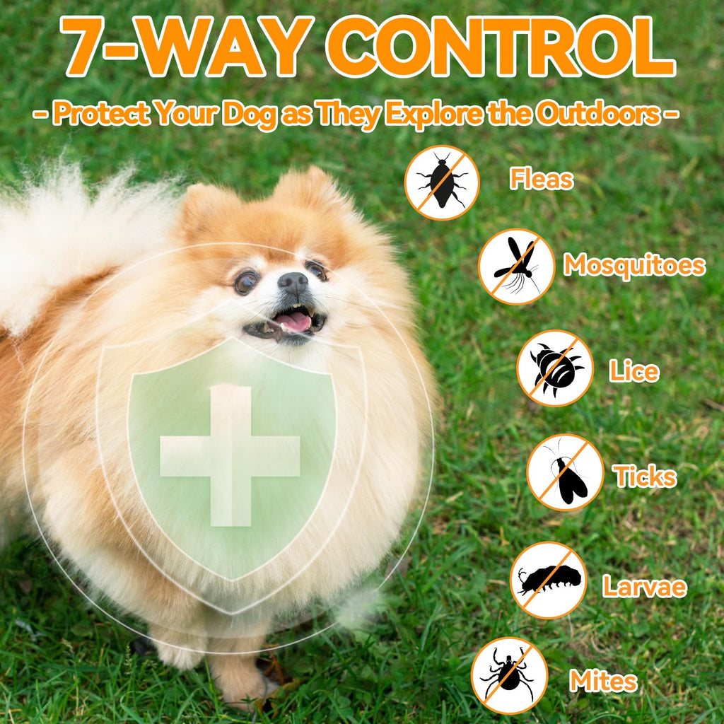 Flea and Tick Prevention for Dogs Chewables 200 Ct C129