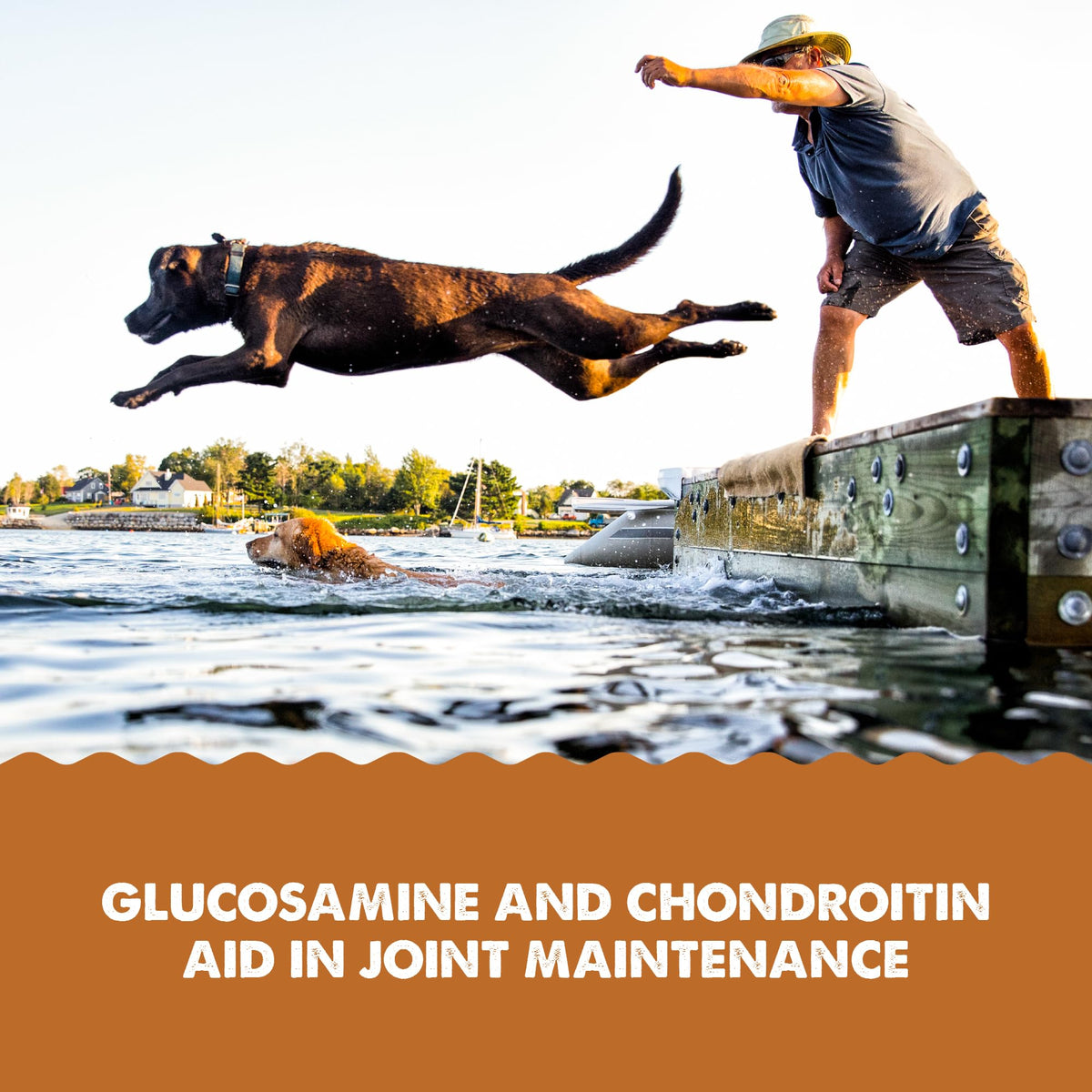 Joint Health Supplement for Dogs and Cats, 32 Ounce K466230