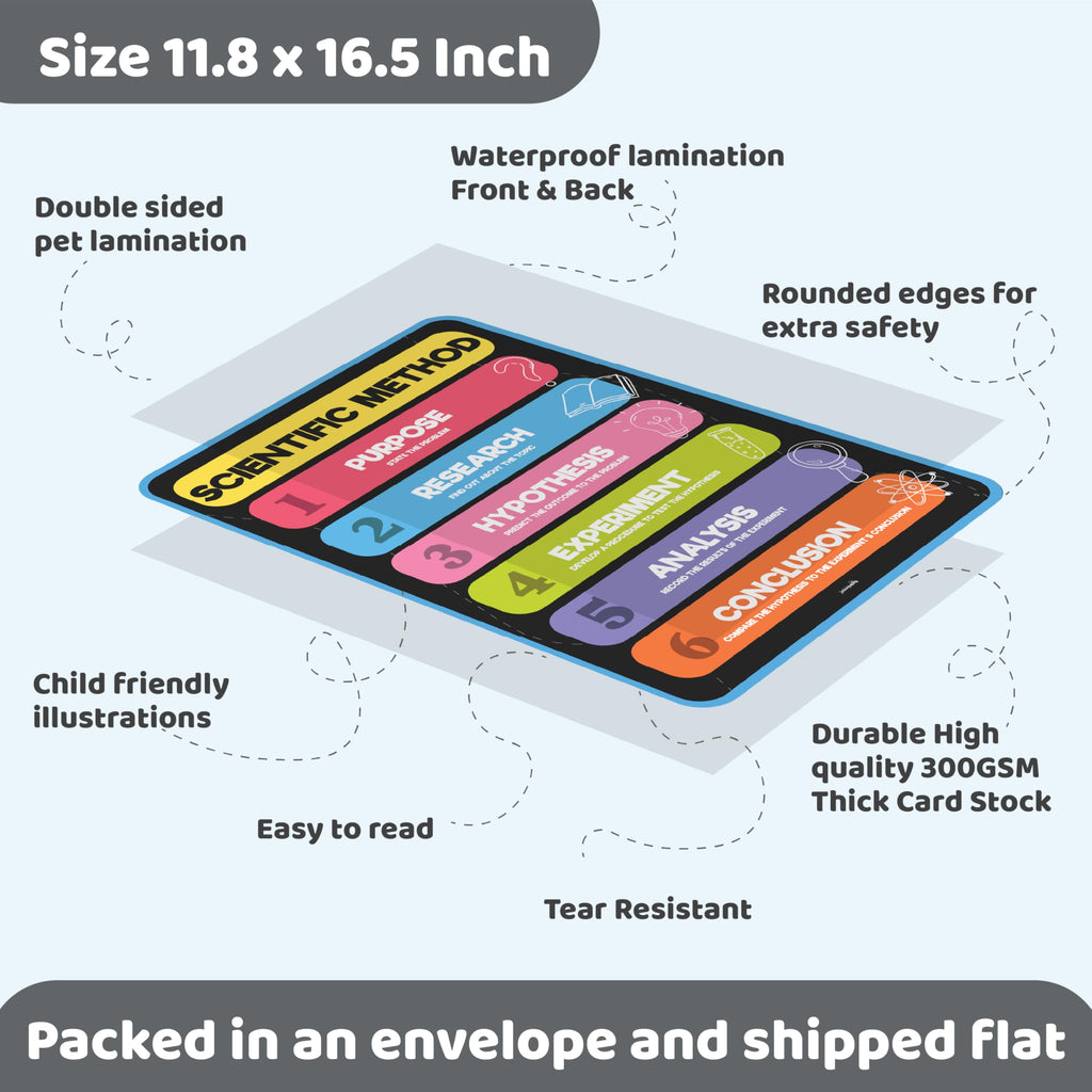 Science Posters for Kids Classroom Decor C5841