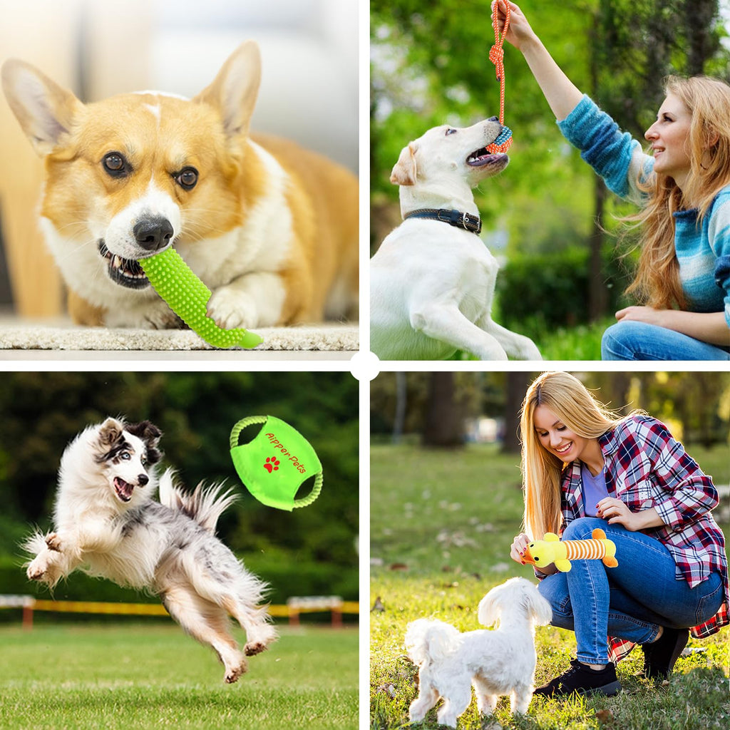 25 Pack Puppy Chew Toys with Squeak Plush Rope Toys J3107