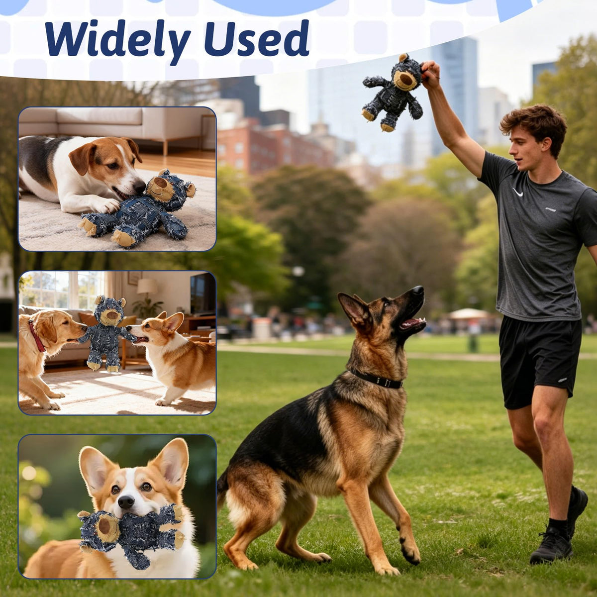 Squeaky Plush Dog Toy F71289