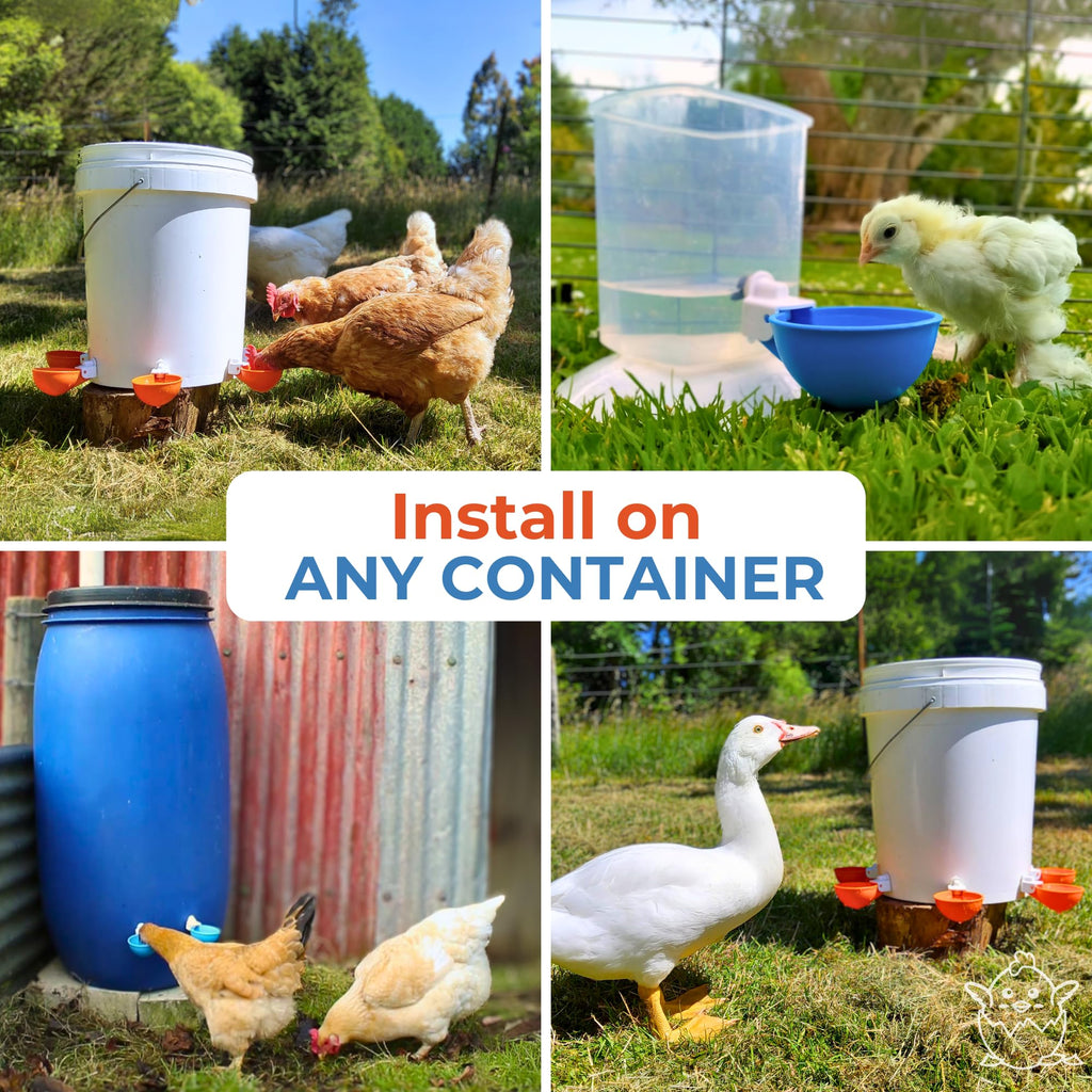 Large Automatic Chicken Waterer Cups 5-Pack U76108