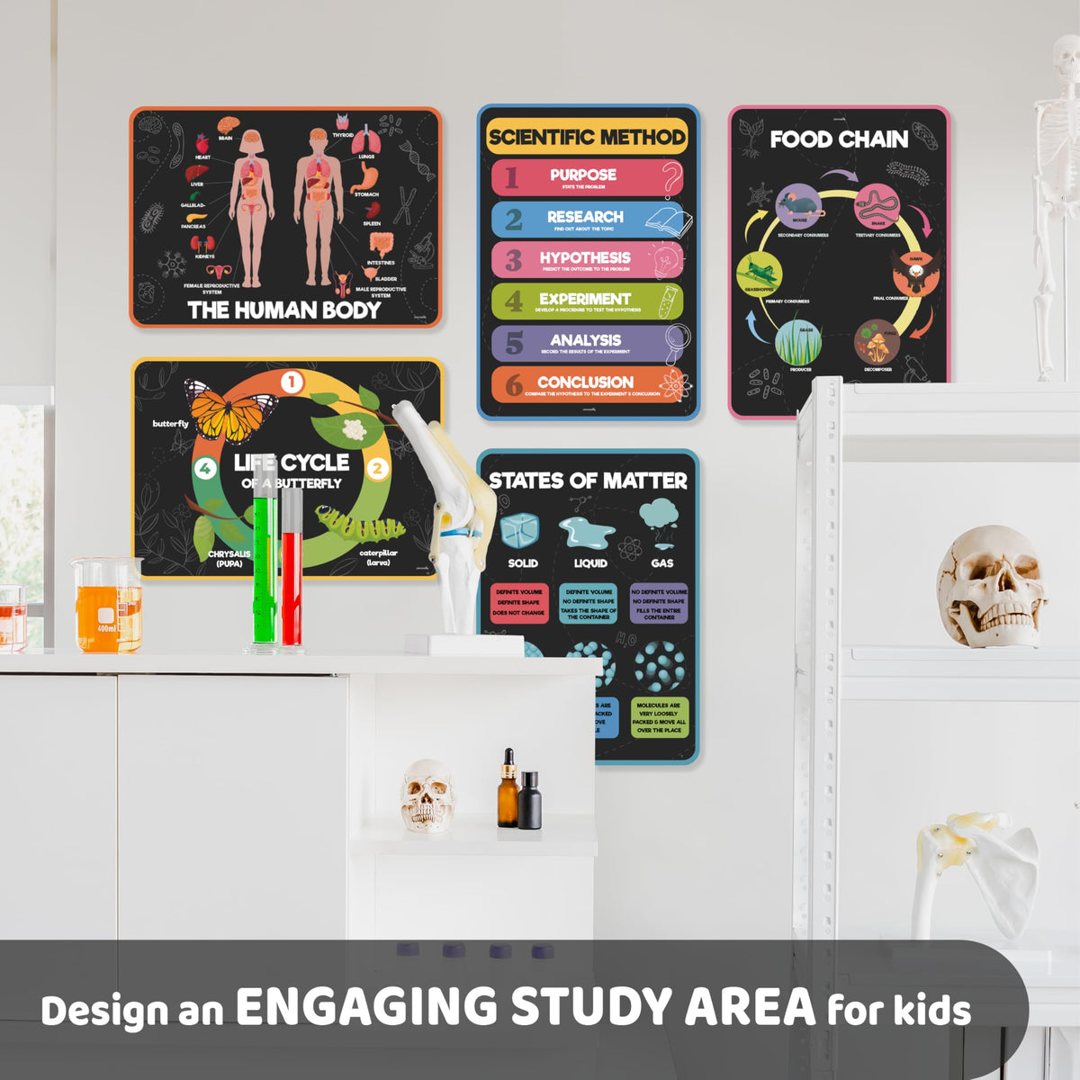 Science Posters for Kids Classroom Decor C5841