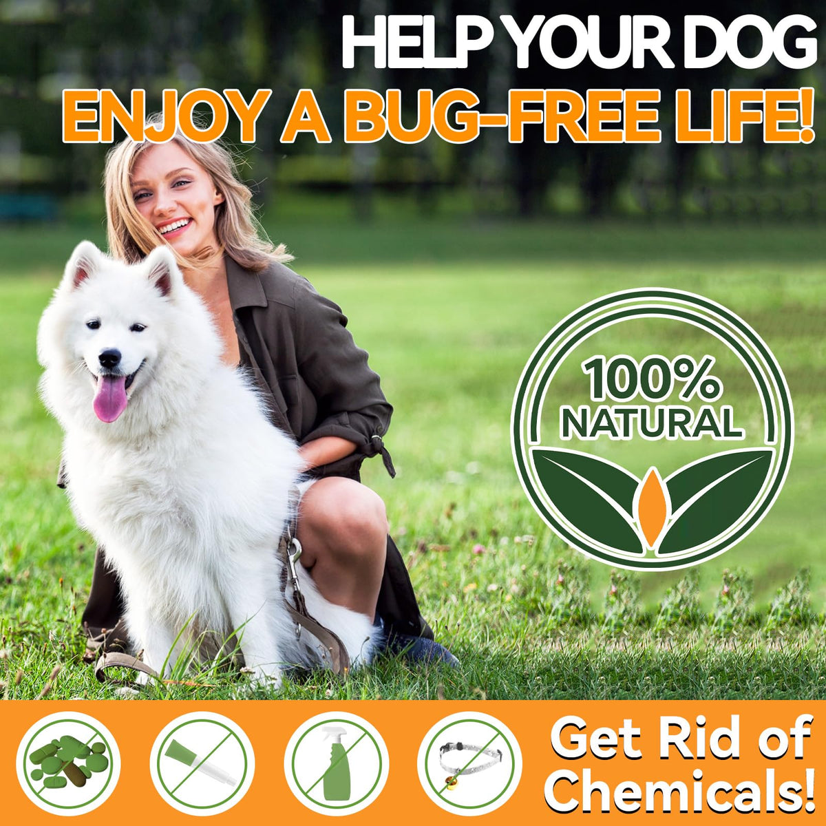 Flea and Tick Prevention for Dogs Chewables 200 Ct C129