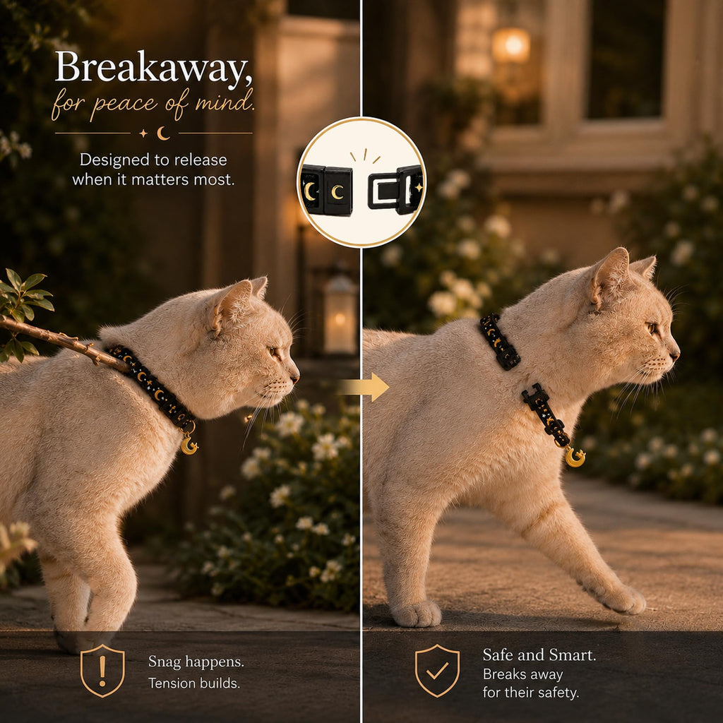 Breakaway Cat Collar with Bell A421105