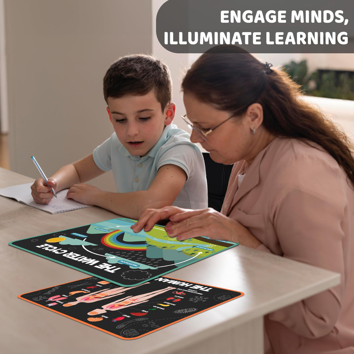 Science Posters for Kids Classroom Decor C5841