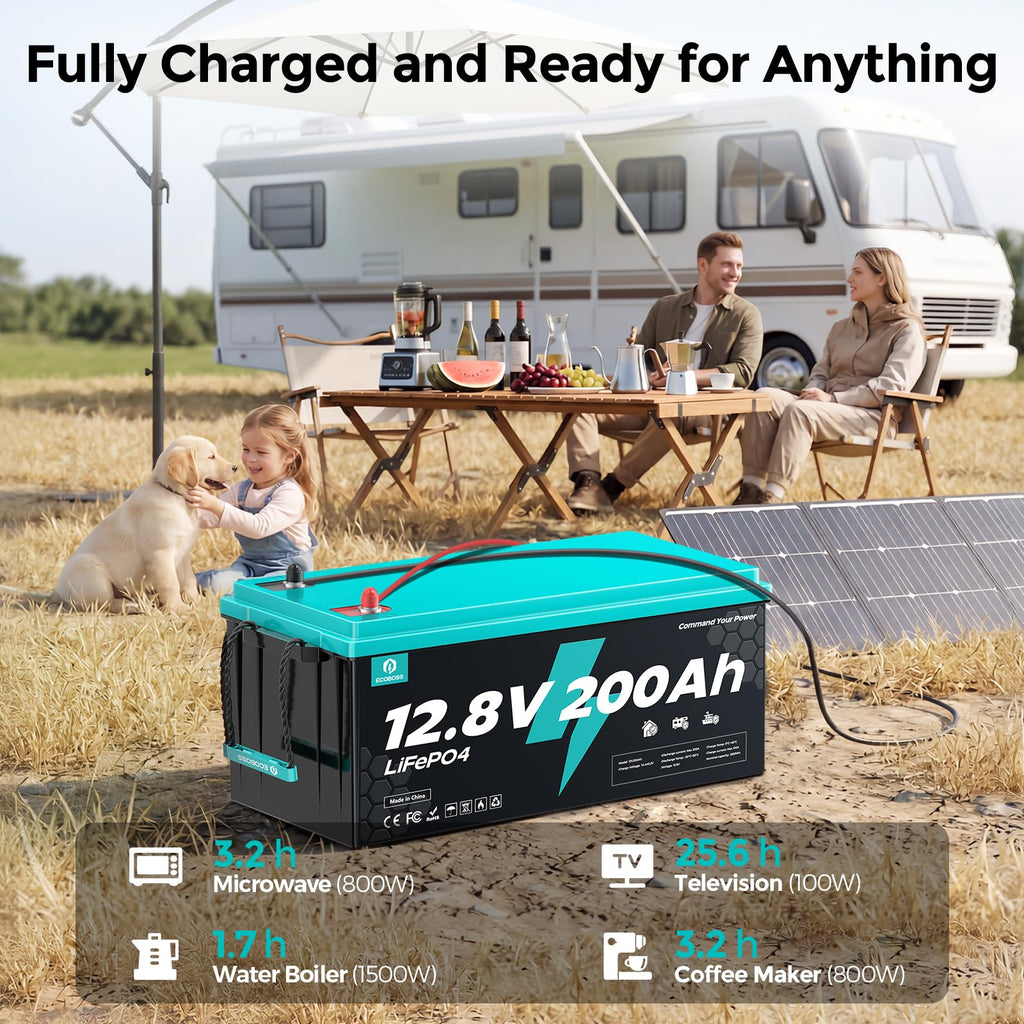 12V 200Ah LiFePO4 Deep Cycle Lithium Battery P1640