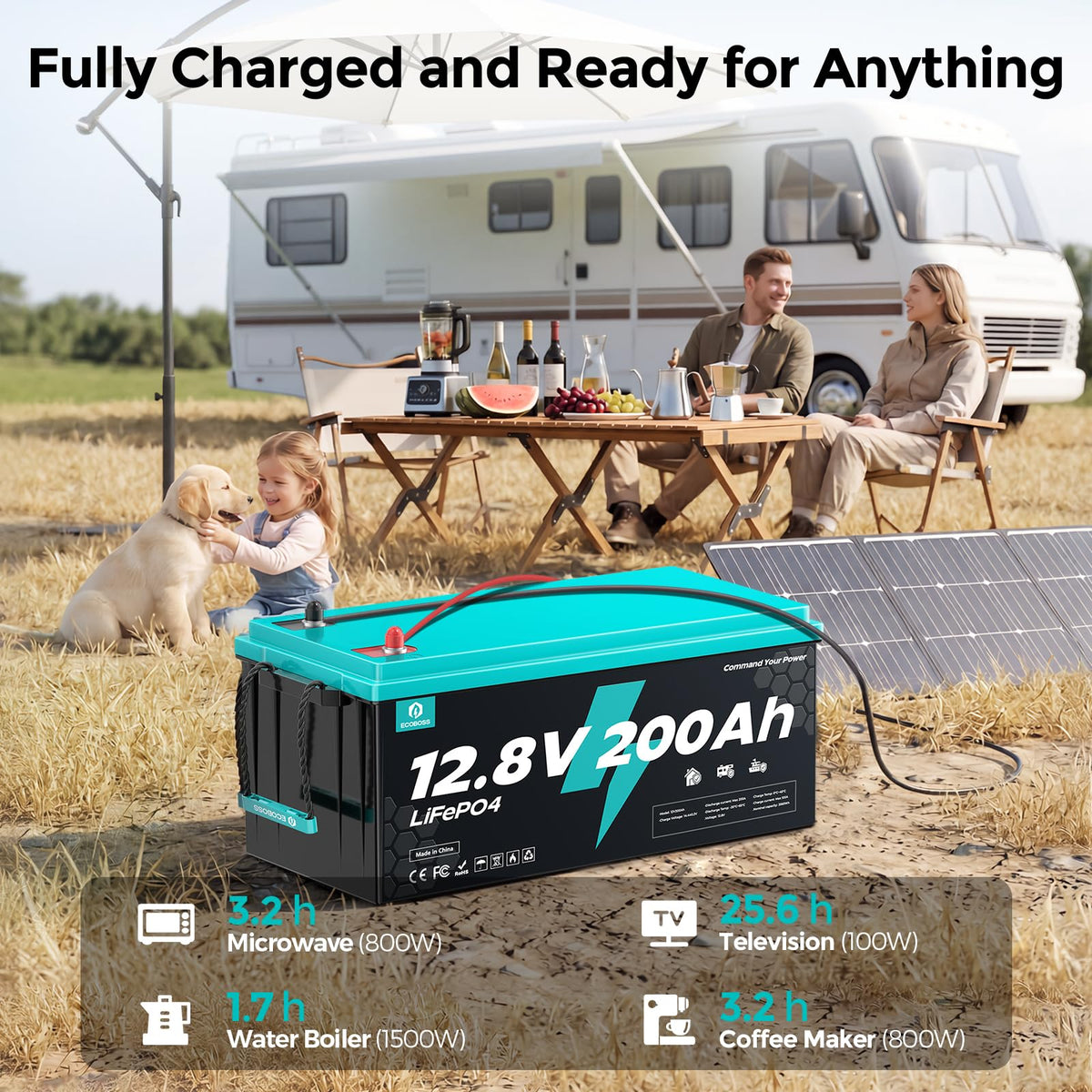12V 200Ah LiFePO4 Deep Cycle Lithium Battery P1640