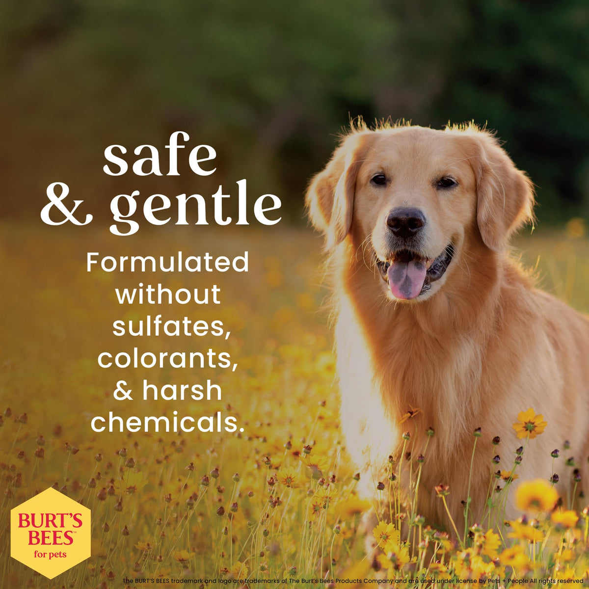Dog Detangling Spray with Lemon & Linseed 10 Fl Oz H59642