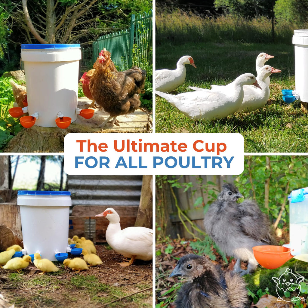 Large Automatic Chicken Waterer Cups 5-Pack U76108
