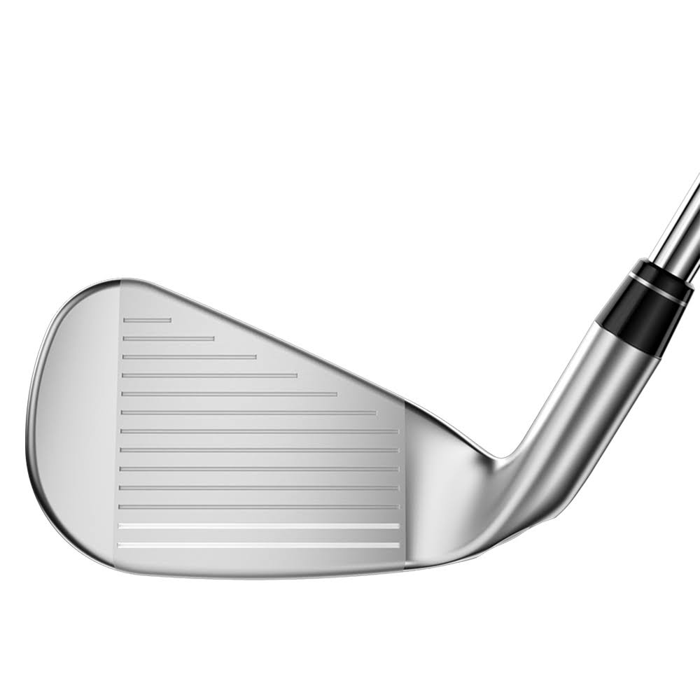 6-PW, SW Steel Regular Iron Set L66166