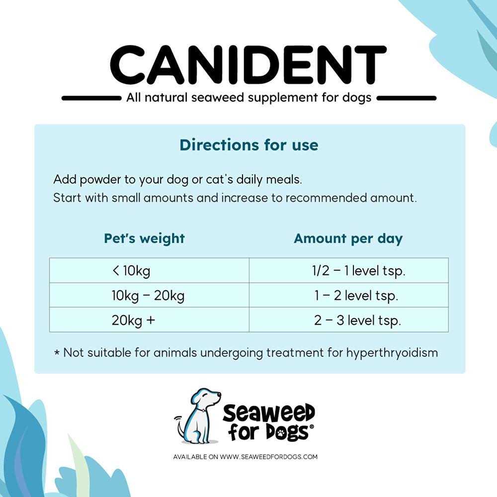 Dog Teeth Cleaning Pet Supplies P356937
