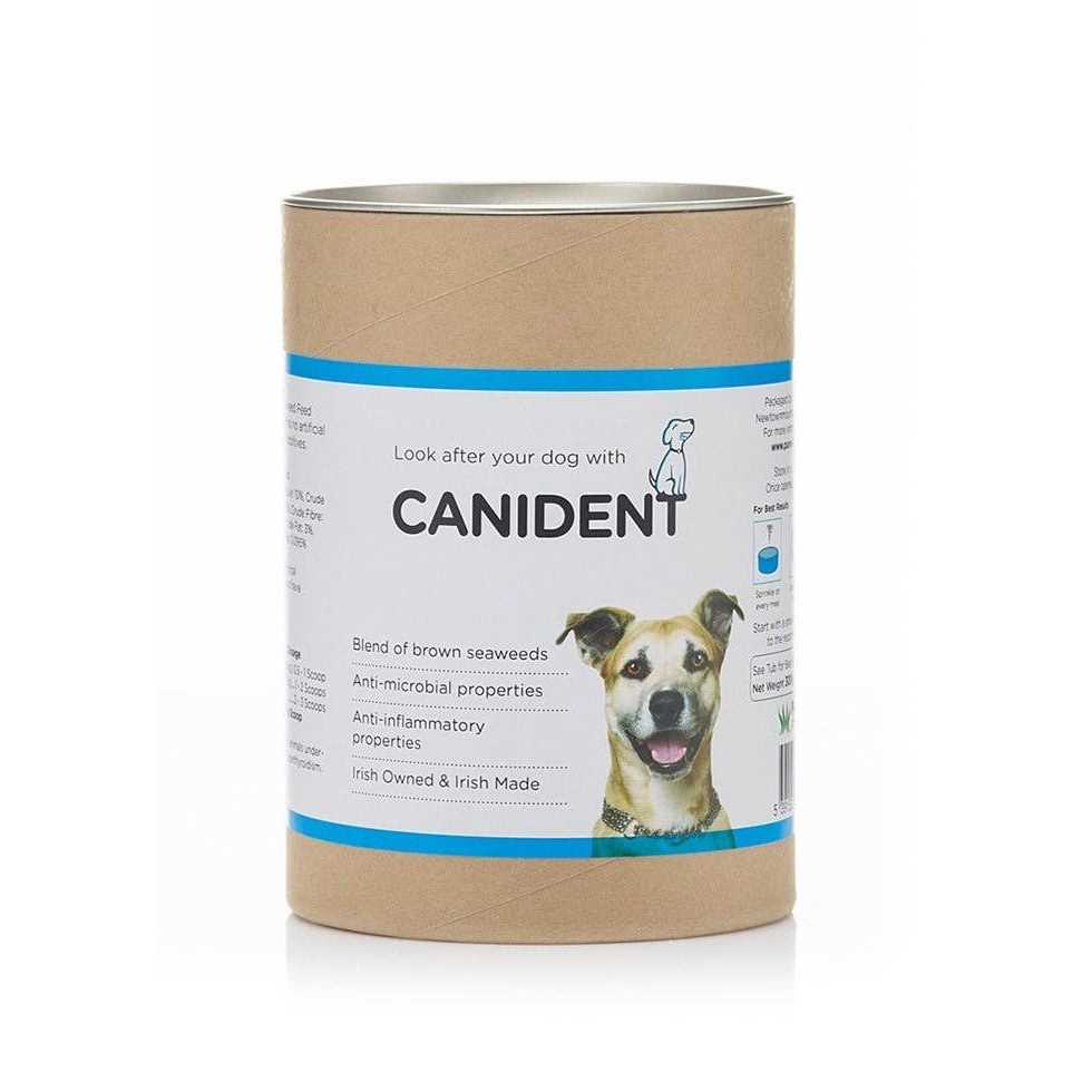 Dog Teeth Cleaning Pet Supplies P356937