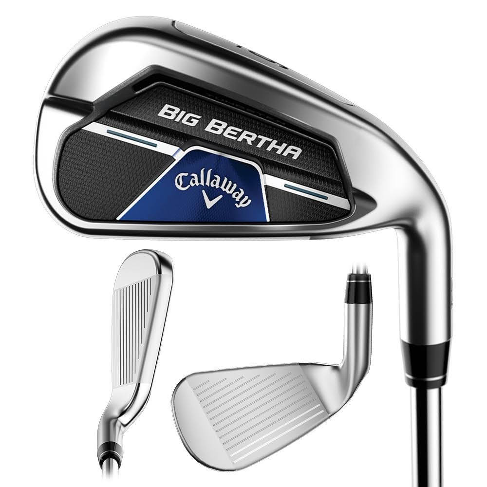 6-PW, SW Steel Regular Iron Set L66166